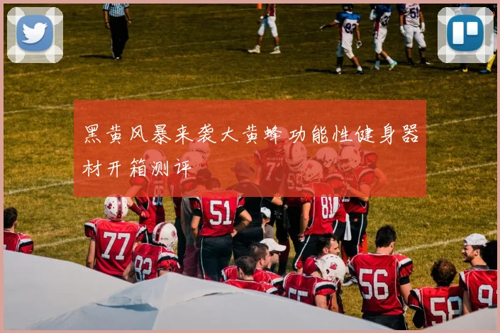 黑黄风暴来袭大黄蜂功能性健身器材开箱测评