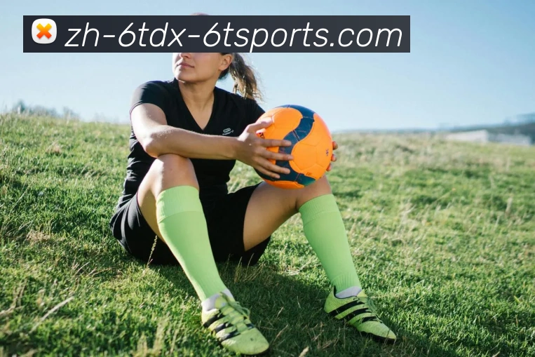 App Interface Preview