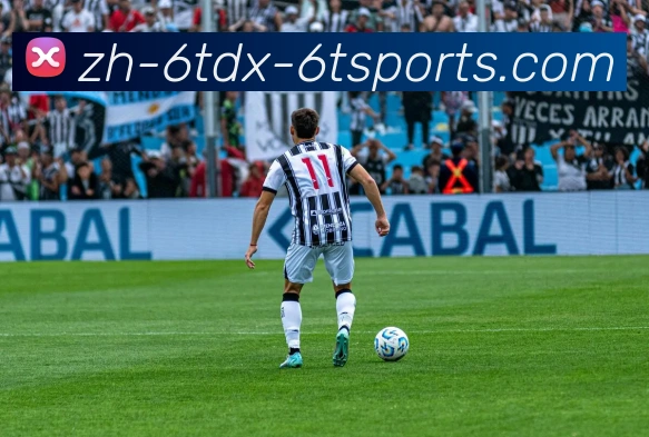 6T体育APP 封面图